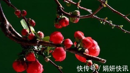 福气@俗话说好事做尽，福气到头，别做4件事好事，不然财福会被抢走