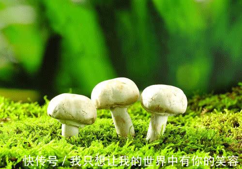 肝癌|4种食物,是肝癌肝硬化的天敌,每天食用,让肝再健康20年