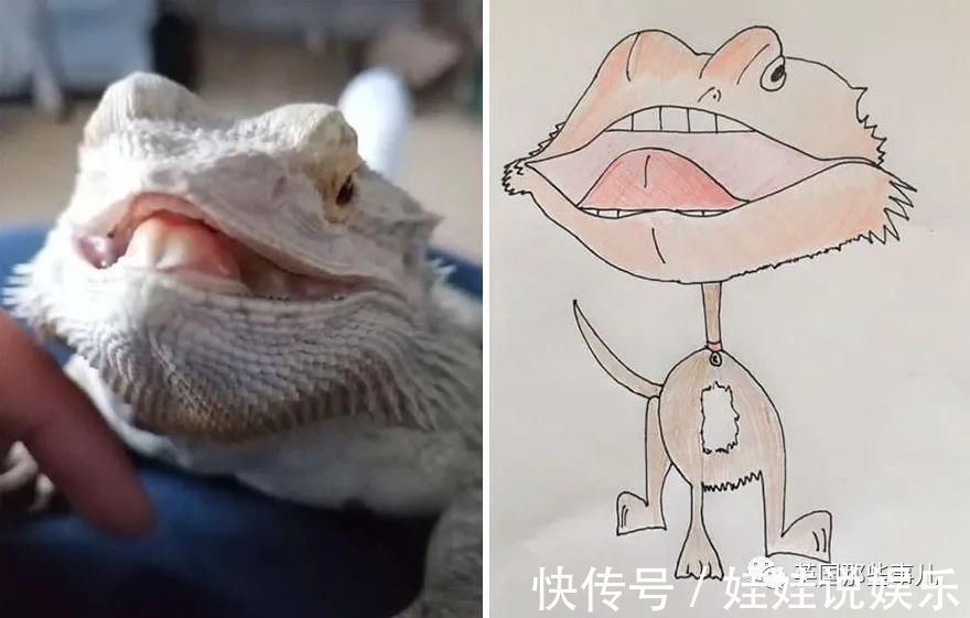 pet#随手涂鸦,自己觉得是“垃圾”的画作,没想到却在网上卖疯了