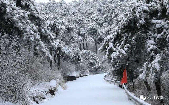 雪后王莽岭，美得不要不要的！