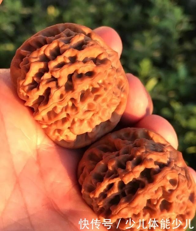 尺寸|文玩核桃盘玩,女士该如何选择!