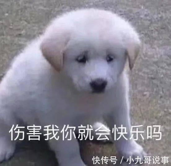 好家伙|“现在00后的语言密码有多难懂?”看完我直呼好家伙!