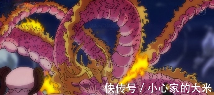 大妈|海贼王1025话:“蒙骑D乱飞”上线,大妈被吓懵:凯多你怎么了