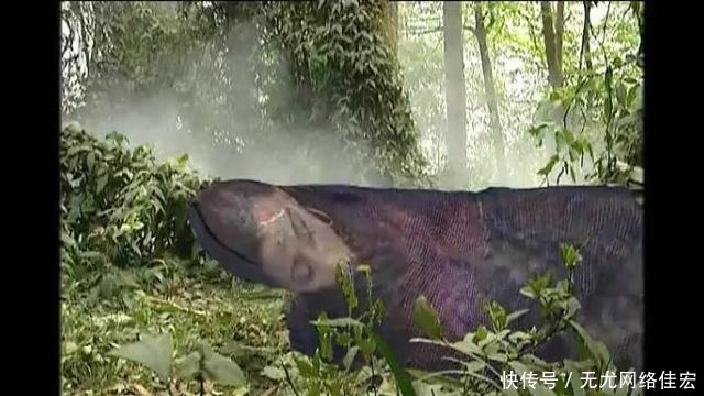 最弱|《西游记》中最弱的妖怪,被孙悟空不废吹灰之力的拿下