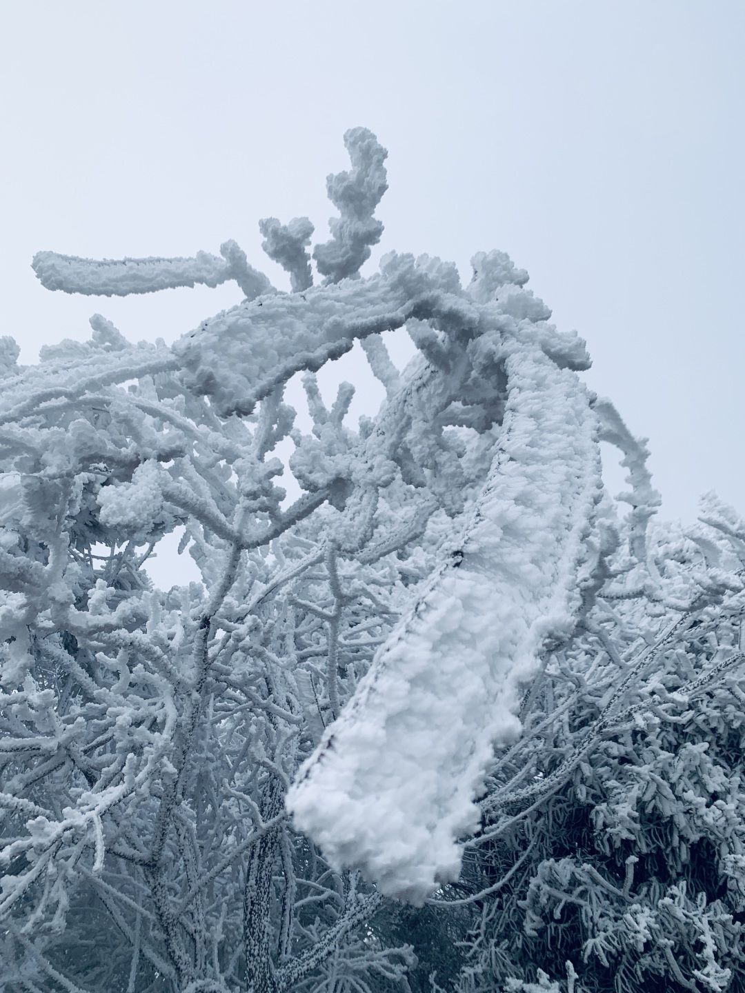 畲乡|冬日限定！畲乡敕木山雪景带你进入冰晶世界