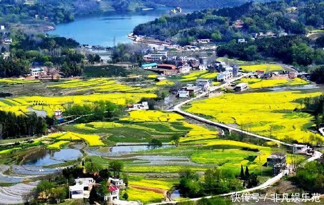 老年|微视河南,河南的那些梯田风光,分分钟把你迷倒