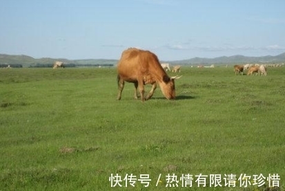 葫芦|孕妇梦到这4件事,预示会生儿子是吉兆,且将来会成为栋梁之才