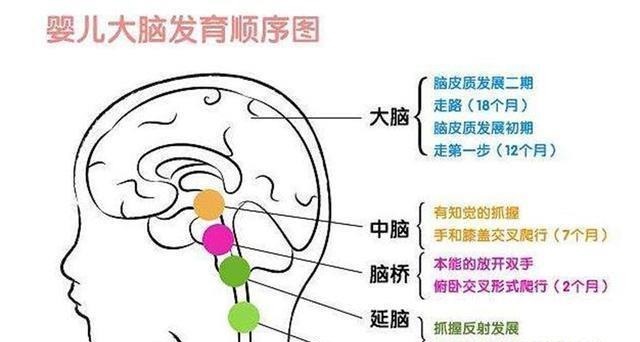 孩子|哈佛大学研究:孩子一生中变聪明的时机很短暂,家长千万不能错过