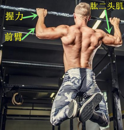 单杠|引体向上还是没有进步?只需每周3次综合训练,提升效果会更好