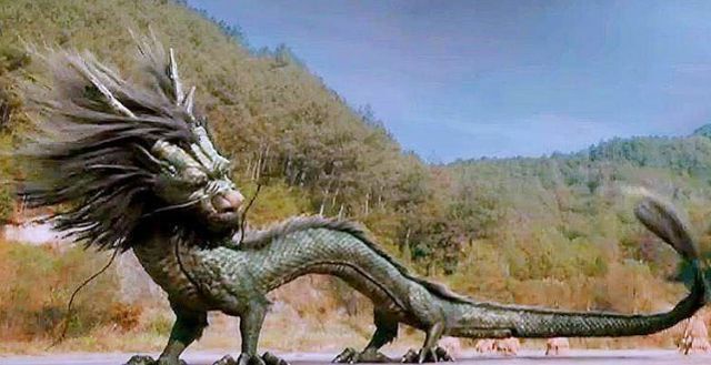 画龙#中国画龙第一人,一幅画拍出3亿,日本画家:他画得像真龙一样