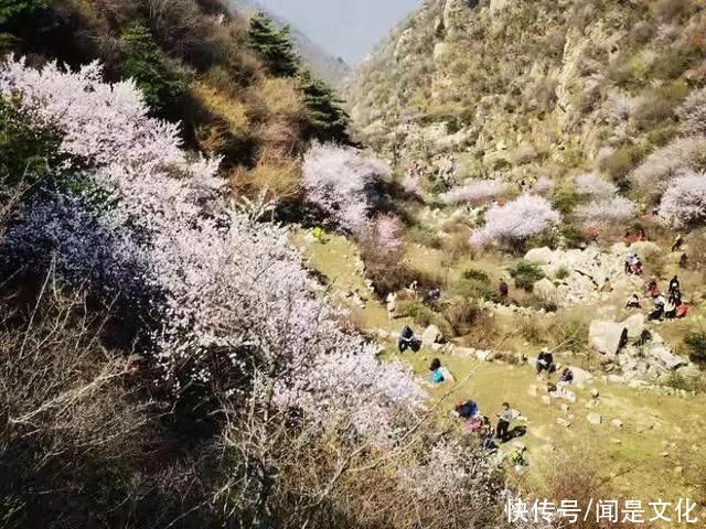 祁河散文:桃花依旧笑春风