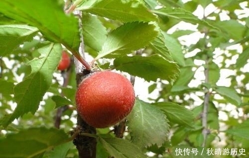 厉害|真正厉害的人,都有这样一个特质,值得大家学习