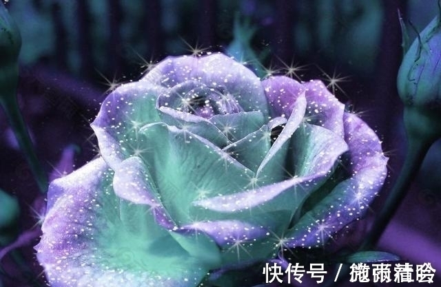 桃花|未来15天，天降大喜，桃花滚滚来，邂逅真爱的4大星座