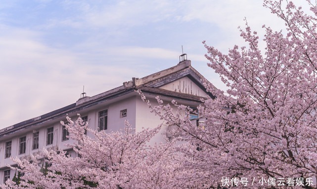 大唐|阳春三月，春回大地，三月赏花好去处