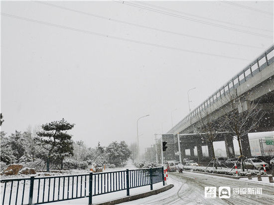 雪景|组图丨下雪了！济宁最美的雪景都在这儿