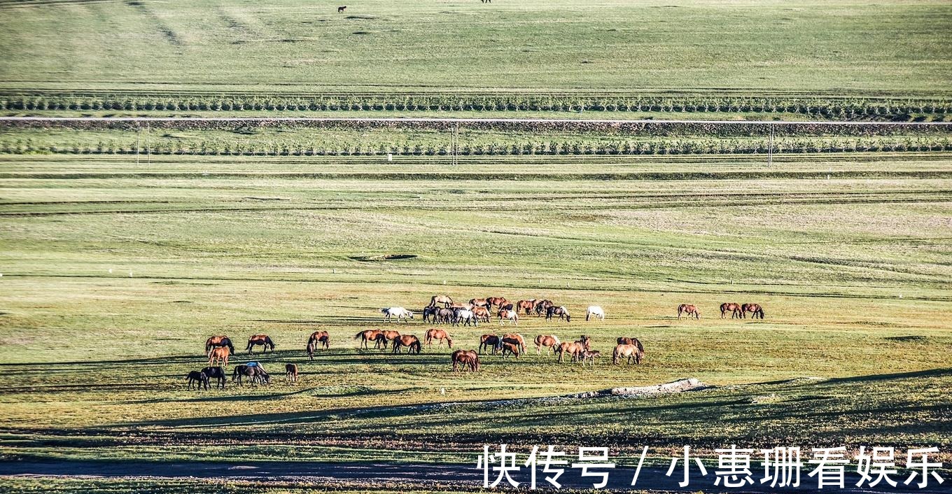 写真|入秋的呼伦贝尔：有着与世隔绝的环境，风光美得如此灵动！