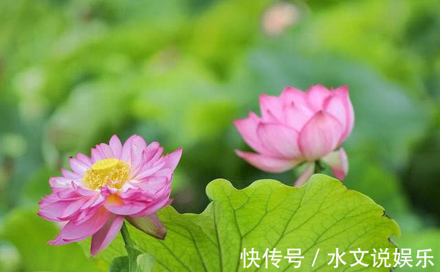 双喜临门|大难已过，3生肖“不得了”，财神送横财，观音送贵子，双喜临门