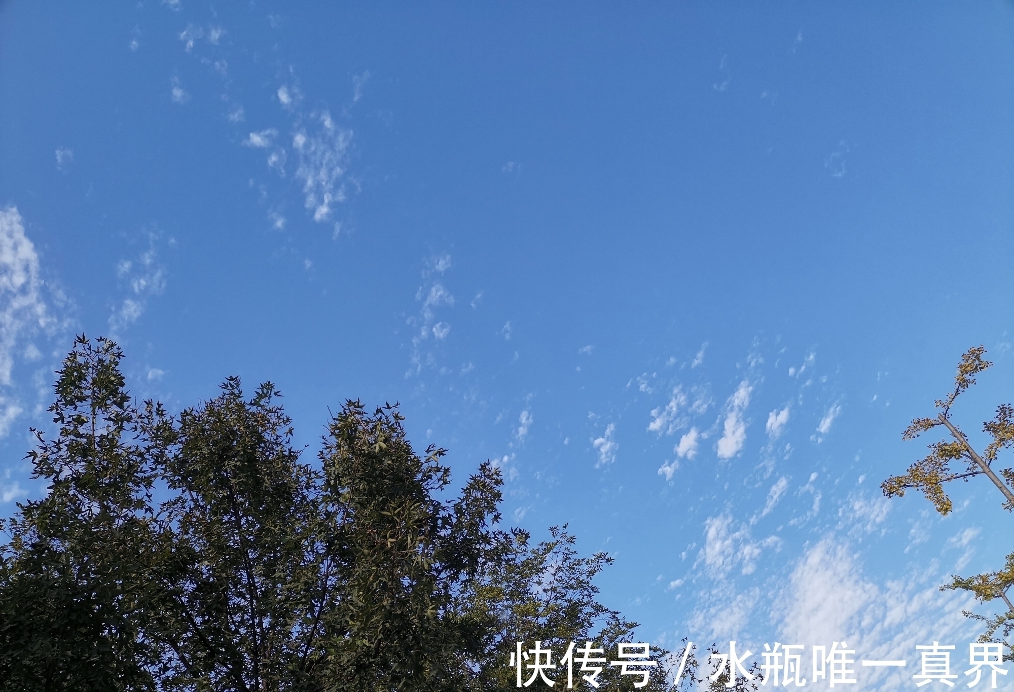 孤篇#有些诗人只有一首诗流传下来,这些诗人中最著名的是哪10位?