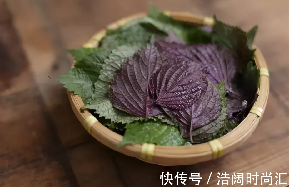 奶汁草|血糖高的人，身体有4个表现，若一个都没有，血糖还算稳定