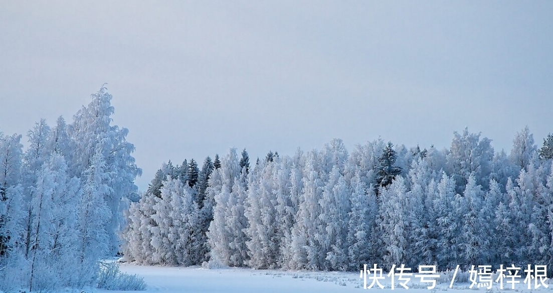 高贵感|天蝎座的高贵感，没人比天蝎更明白