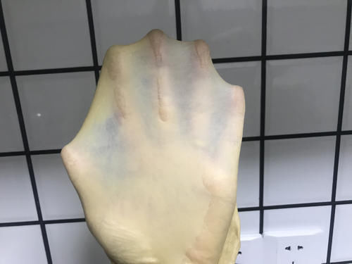 早餐|孩子早餐不用愁，用它做面包，营养丰富又养身，老人孩子都爱吃