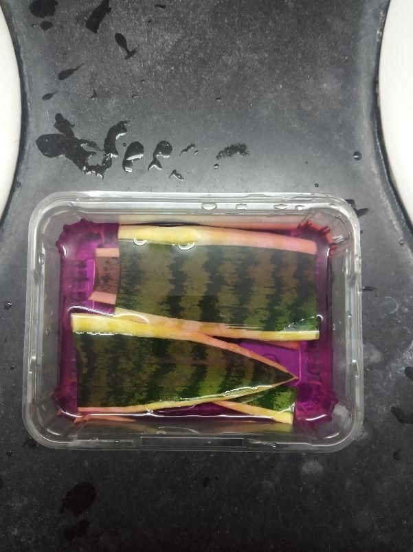 太阳花枝条|只用叶子也能扦插,这花把叶子剁5段,插到土里就能长成5盆花