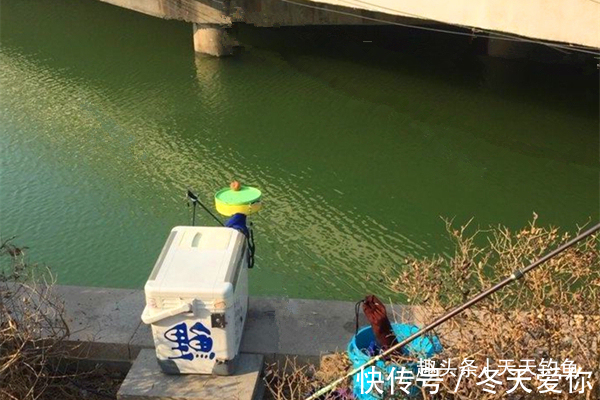 天气越冷越要找鱼窝,鲫鱼喜欢藏在这些地方,找准位置下钩就上鱼