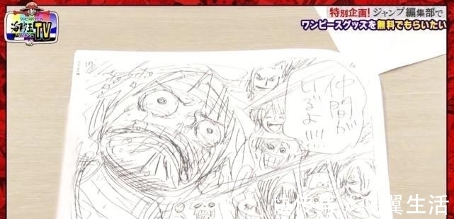 会议|尾田曾3次在连载会议中被拒 海贼王早期珍贵草图大公开