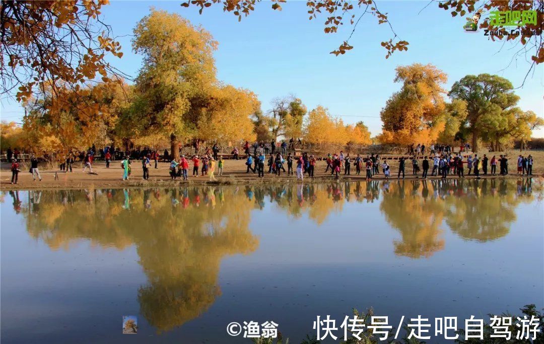 景区|额济纳“黄金盛宴”来了！住景区，穿越无人区峡谷，错过要等一年