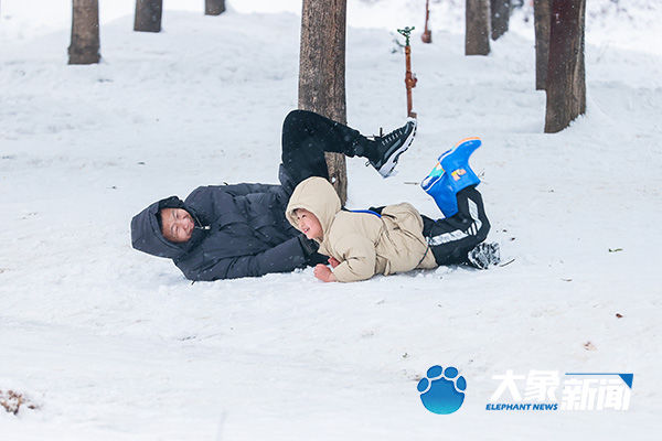 我慢慢地品 雪落下的声音|图集| 雪地