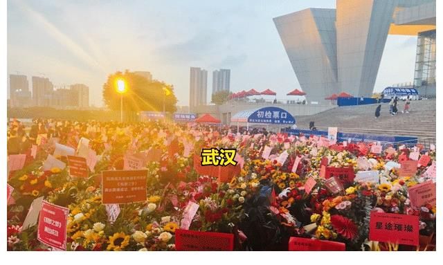 肖战因《如梦之梦》演出，无缘双十一晚会，粉丝的表现喜忧参半！