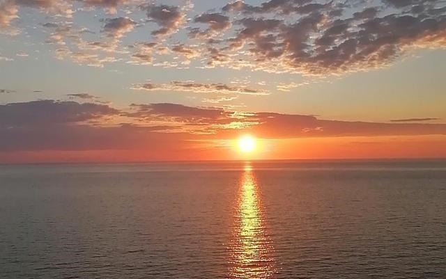 老年|“殷勤谢红叶,好去到人间”,人世恬淡,随缘自在