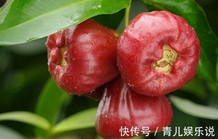 美容|对女人最好的水果,每天吃2个,能润肺美容,让肌肤光滑细腻