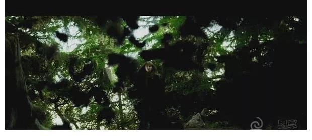 艾丽卡|电影分享 艾丽卡