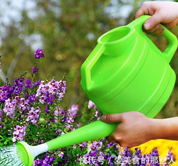 浇水|有些人养花10年都没搞清楚,浇水是一门学问,越简单越容易忽视