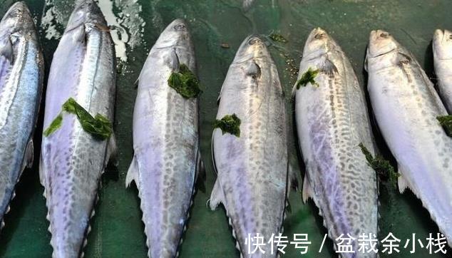 营养|这3种鱼自带重金属,价格虽然便宜,但营养低伤身体,别乱吃!