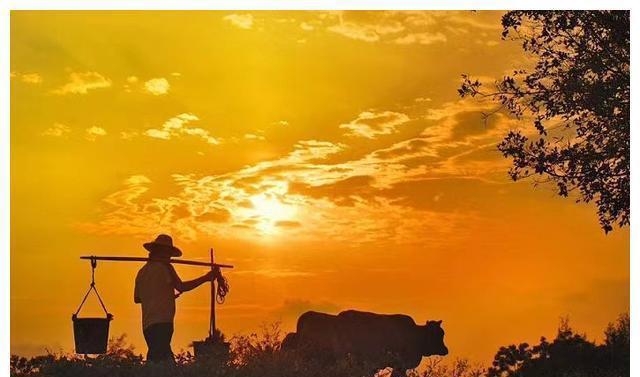 好好学习|孩子以后有没有出息,就看这4点,与学习成绩无关