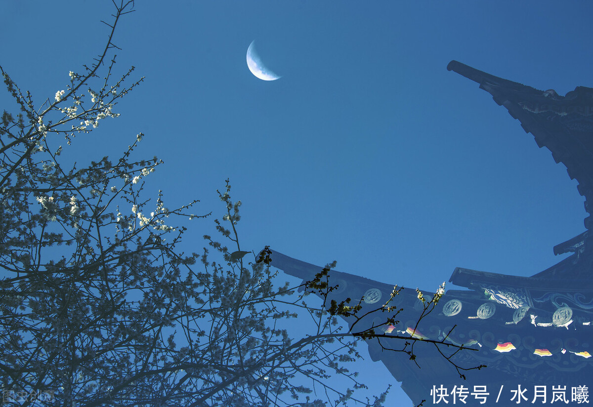 笔下|树深时见鹿,溪午不闻钟,看李白笔下的壮美河山,清浅光阴