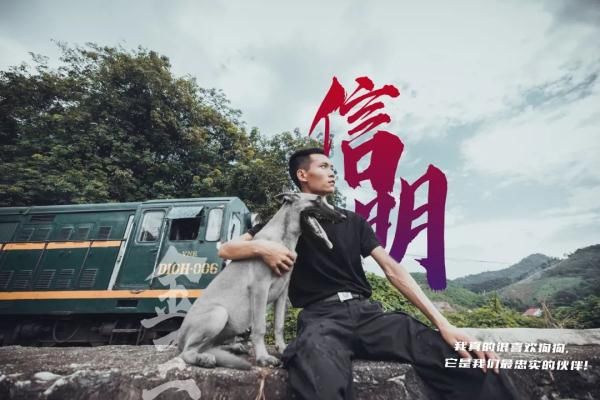 警犬|警犬“金三”为救辅警牺牲，它的主人说......