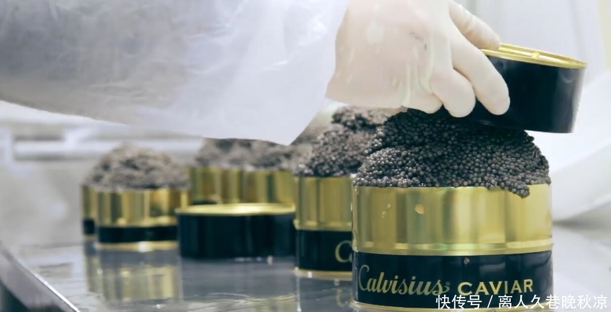 残忍|欧洲土豪最爱食物,制作过程非常残忍,最高一斤卖8万比黄金都贵