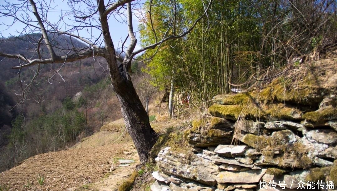 有点让人想不到，秦岭这个山顶上，竟然还住着一户人家，也太苦了