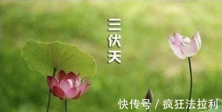 末伏|入了三伏天,夫妻把脸翻,2021年三伏天何时开始,何时结束?