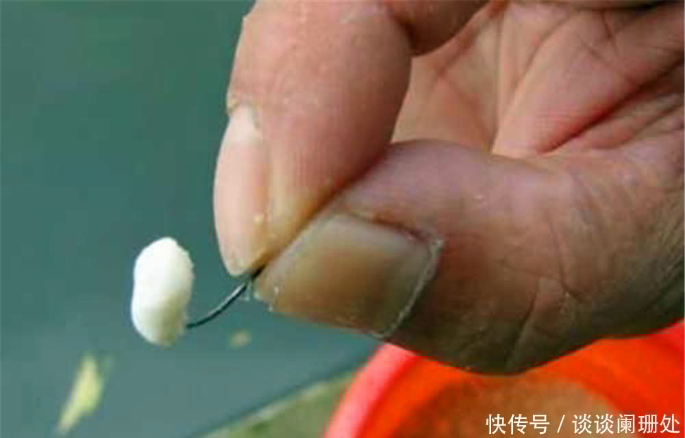 钓鱼饵料配方：“素饵之王”有两种，钓大鱼的，还有钓鲫鱼的！