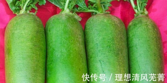 调料|包萝卜馅饺子，这两种常用“调料”谨记别放，不增香反而味道怪异！