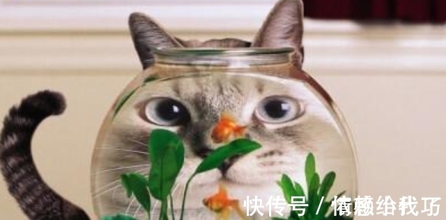 原生家庭|一个家庭难以富贵,往往是犯了这3个糊涂,要想家庭兴旺不妨一看