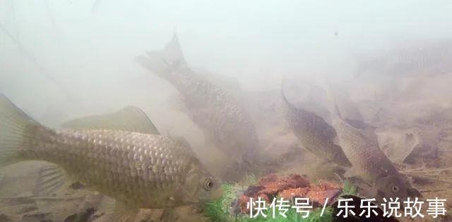 窝子|打窝后等多久再下杆最合适这个问题别忽视,野钓太重要了