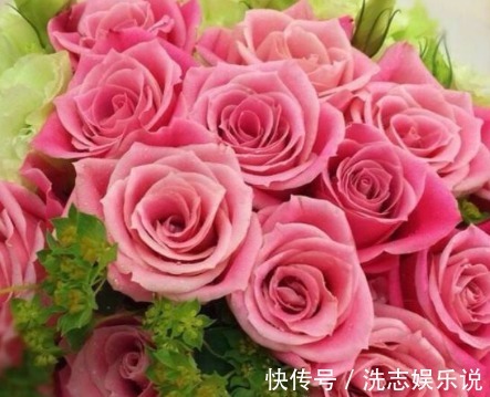 新手养花,不如养盆花中精品“泰姬”,花开如美姬,高贵美艳