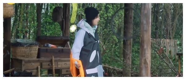 張藝興憑實力單身,直男發(fā)言有點憨,楊紫多次口頭警告