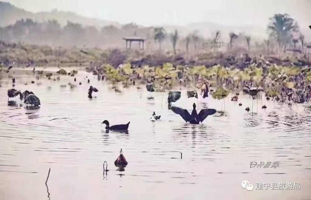 三明再添9家省级旅游示范基地，永安就有2个！春暖花开出去走走吧~