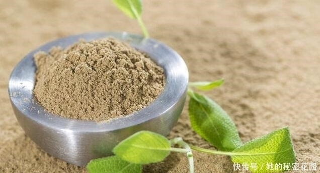 养护|不想“胃炎”变“胃癌”3大胃病“克星”,养护脾胃更健康